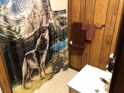 Bathroom option