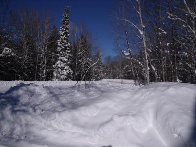 DSCF4409.jpg